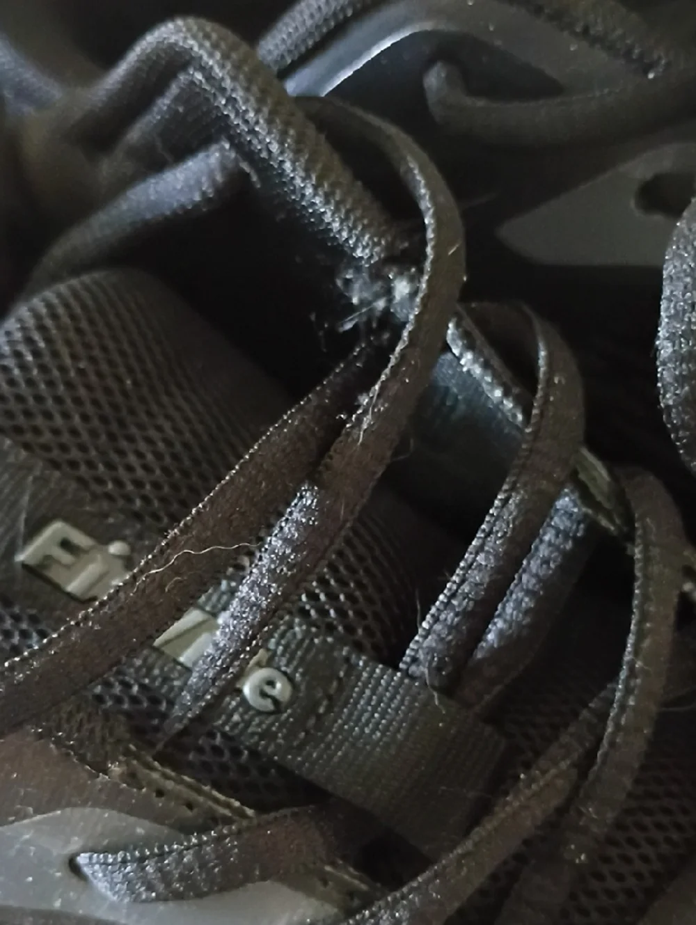 FitVille - Picture 4 of 5